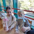 resized_IMG_20250408_154618